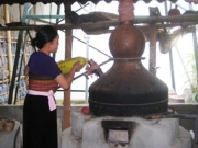 Làng rượu Mai Hạ