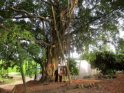 Di tích lịch sử Căng Bá Vân