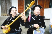 Đàn Tính