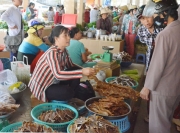 Làng cá ở Bà Rịa - Vũng Tàu