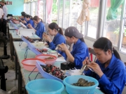 Làng nghề nuôi cấy ngọc trai