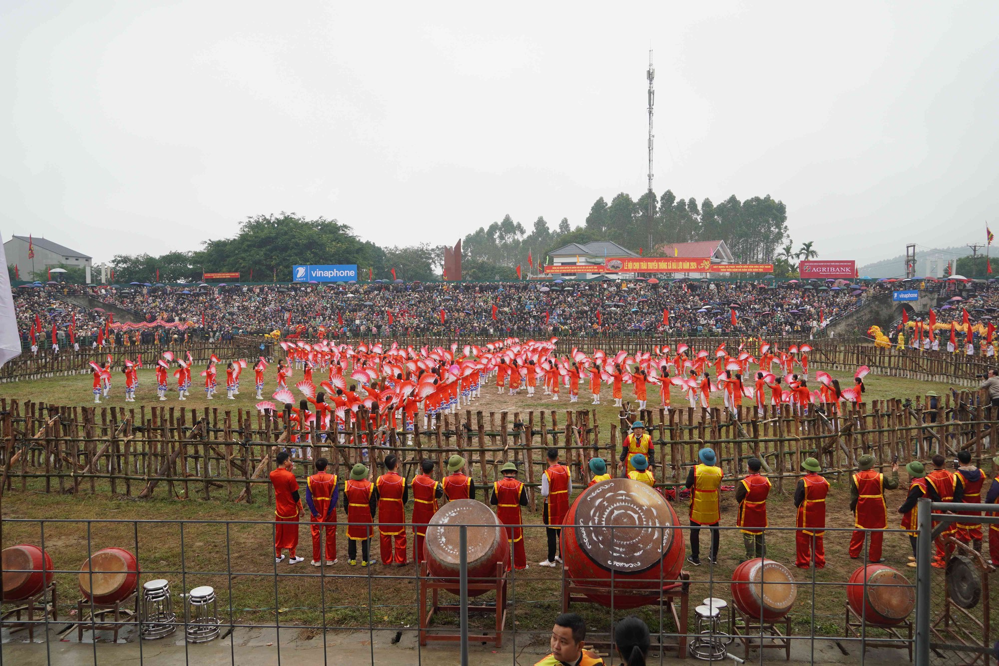 Hội chọi trâu Hải Lựu